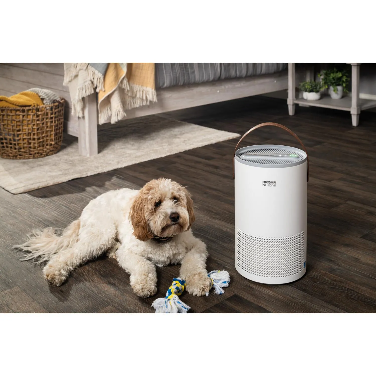 Broan BNAP100 Broan-Nutone Air Purifier W/ Advanced Particulate Sensing. True Hepa