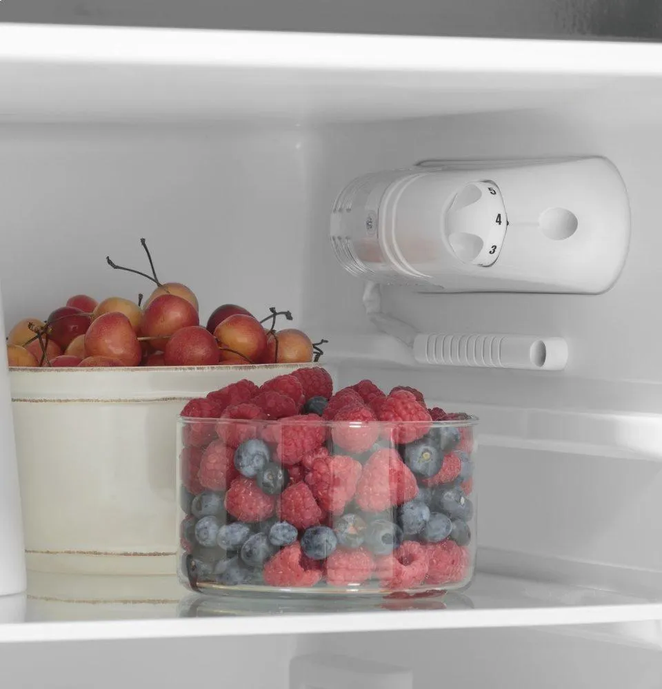 Ge Appliances GPV10FGNBB Ge 9.8 Cu. Ft. 12 Volt Dc Power Top-Freezer Refrigerator