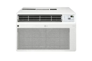 Lg LW1022ERSM 10.000 Btu Smart Wi-Fi Enabled Window Air Conditioner