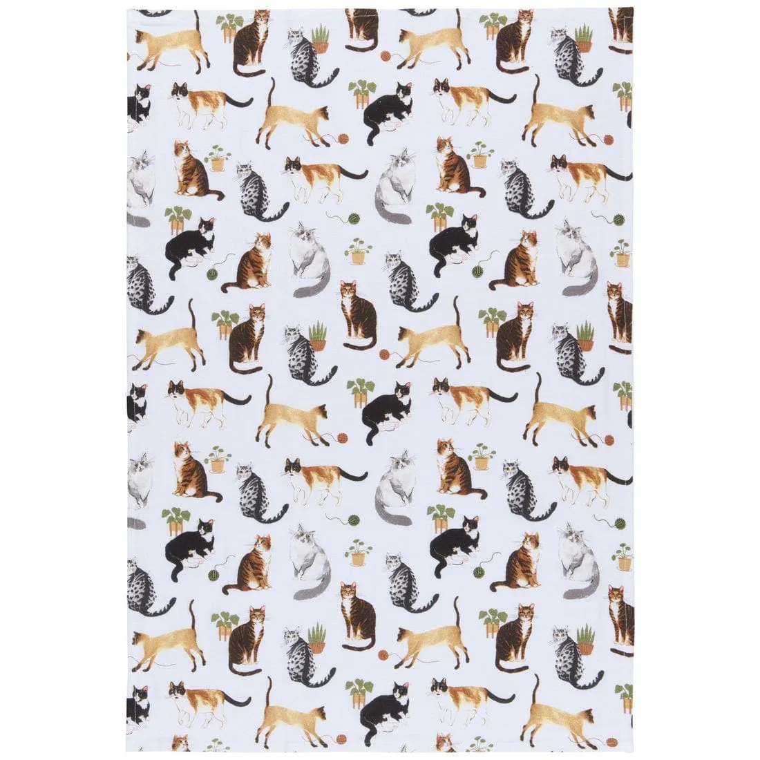 Now Designs - Cat Collective Bakers Floursack Dishtowels - Set of 3