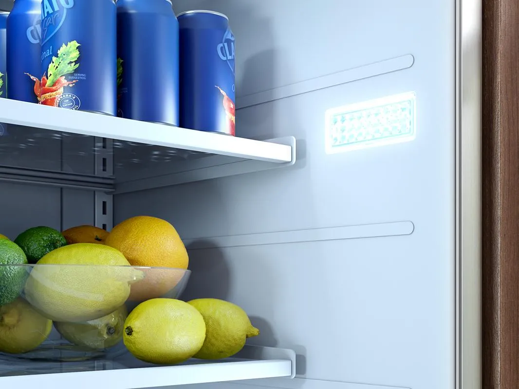 Zephyr PRR24C01ASOD 24 Outdoor Refrigerator